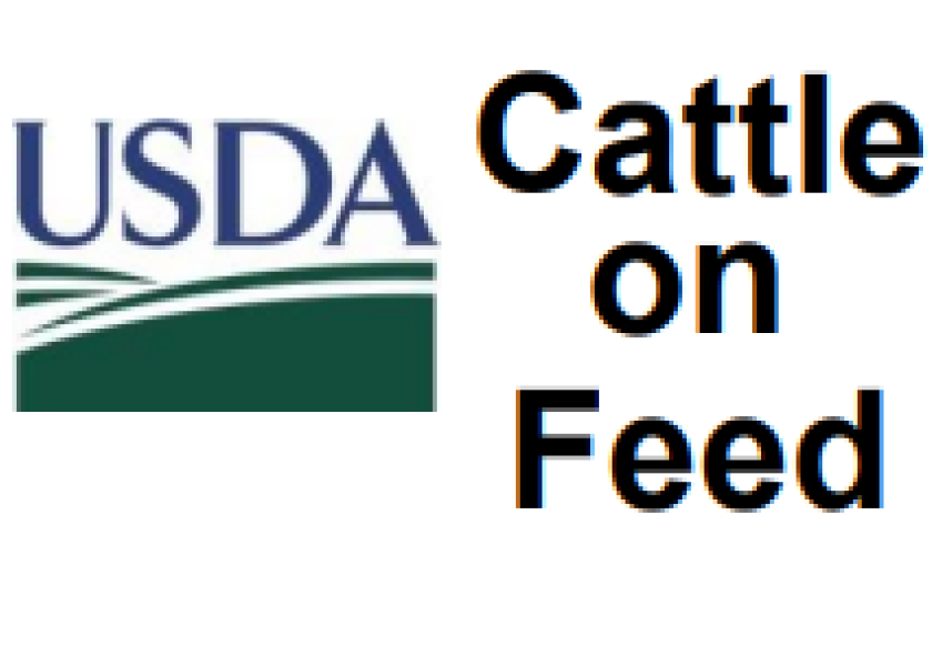 Cattle on Feed Report Placements fall less than expected Pro Farmer